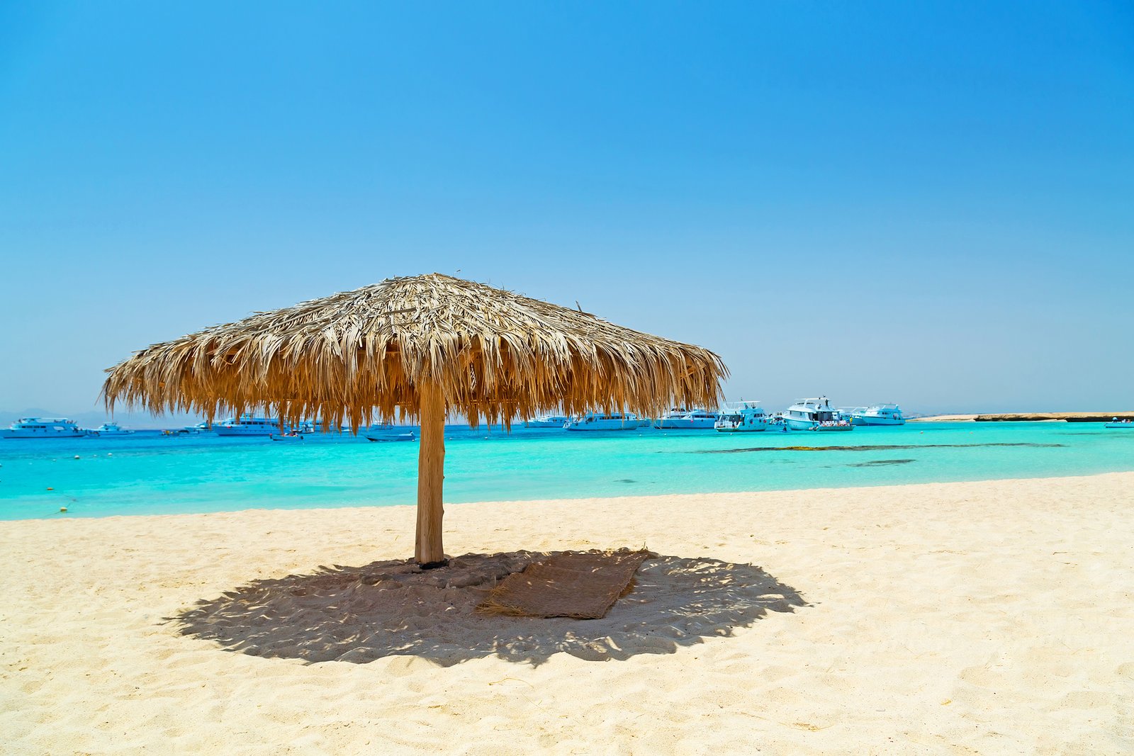 Paradise Insel Schnorchelausflug