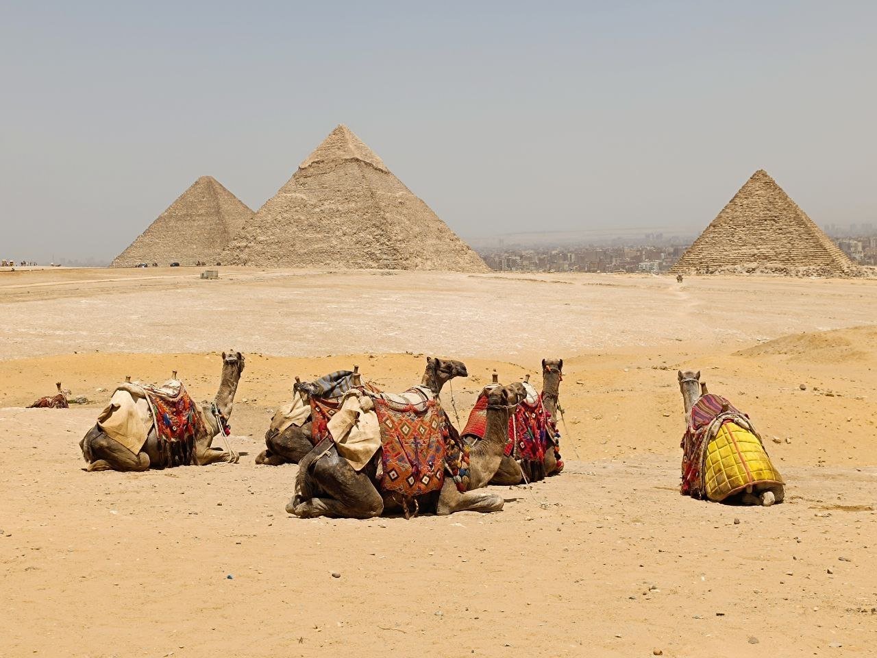 Ab Kairo: Pyramiden von Gizeh, Sphinx & Kamelritt