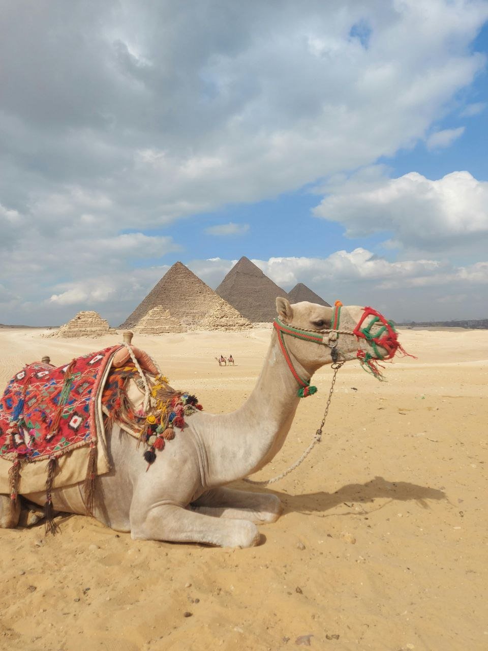 Kairo: Halbtagstour Pyramiden von Gizeh & Sphinx