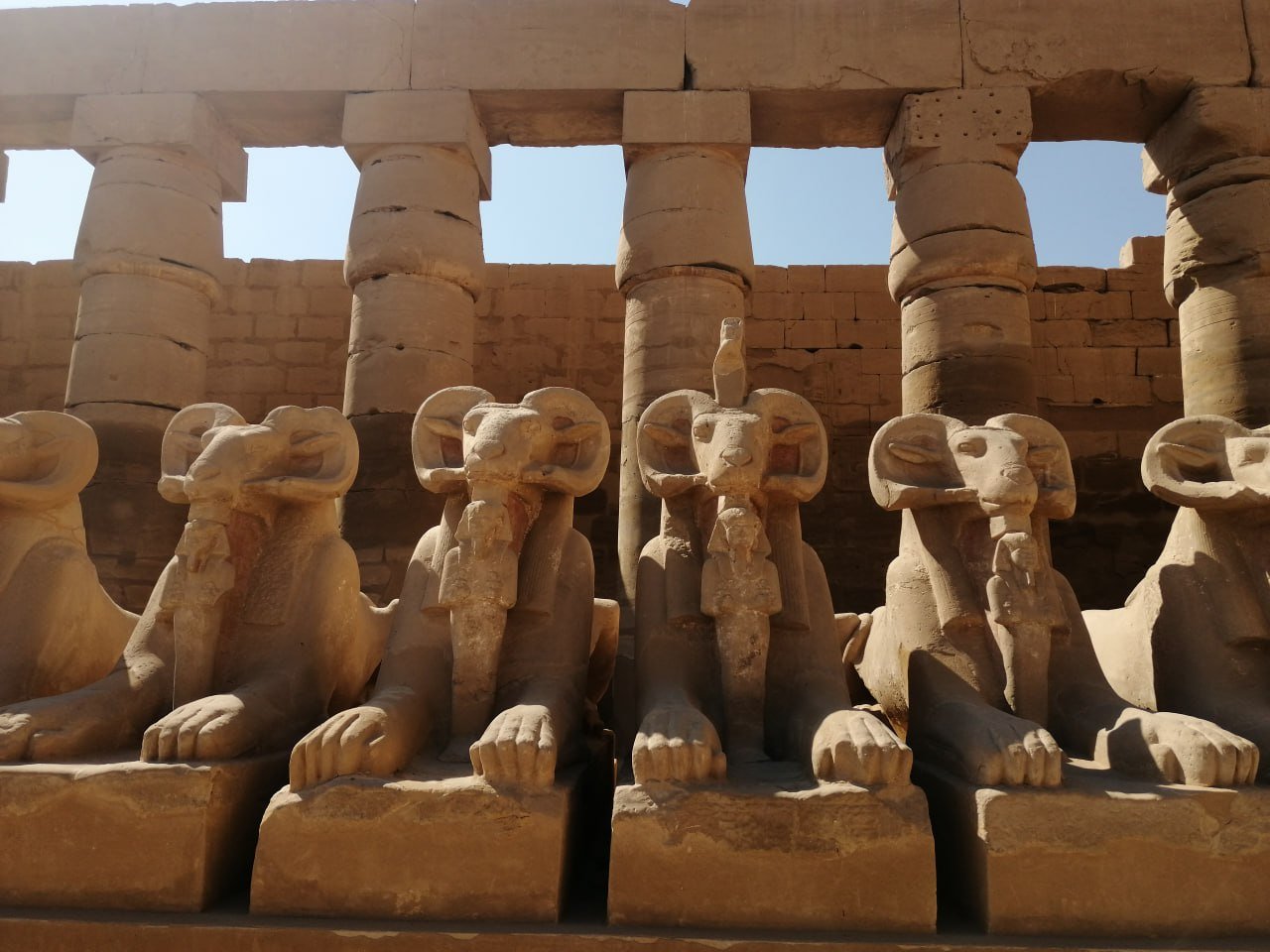ab Safaga Hafen | Privater Tagesausflug nach Luxor – Tal der Könige, Karnak Tempel & Nilkreuzfahrt